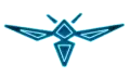 BlackWasp